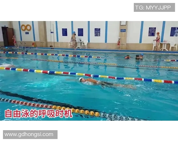 自由泳呼吸技巧解析与训练方法全方位指南 自由泳呼吸技巧解析与训练方法全方位指南