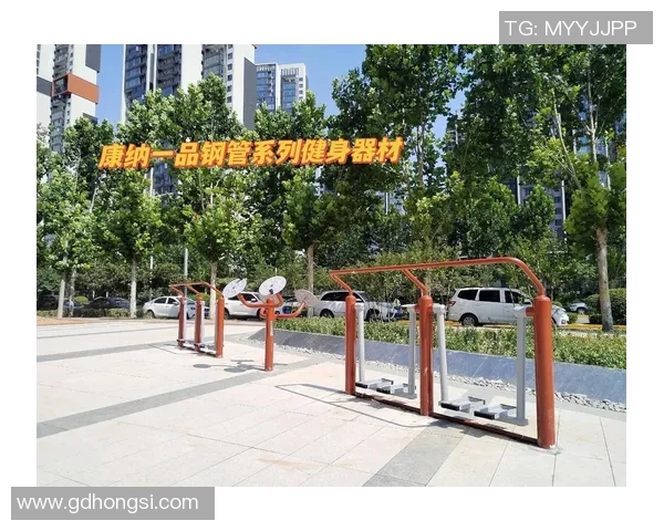户外健身器材国内市场分析与发展前景 户外健身器材国内市场分析与发展前景