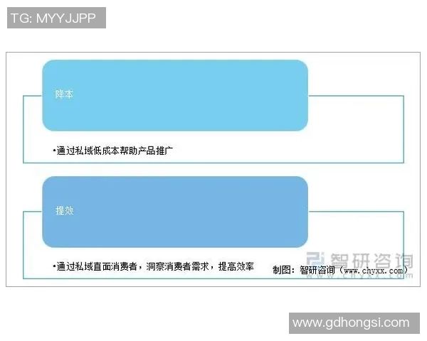 杭州篮球队控制策略解析及其对球队发展的影响探讨 杭州篮球队控制策略解析及其对球队发展的影响探讨